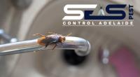 SES cockroach control Adelaide image 4